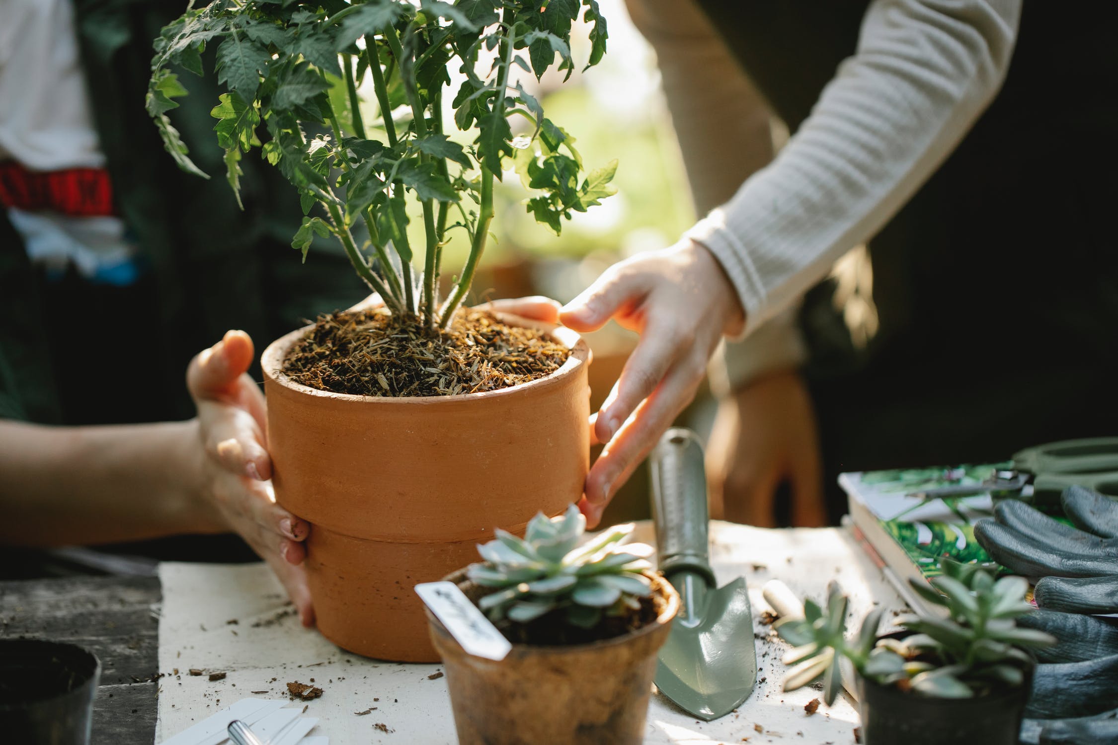 handmade pots