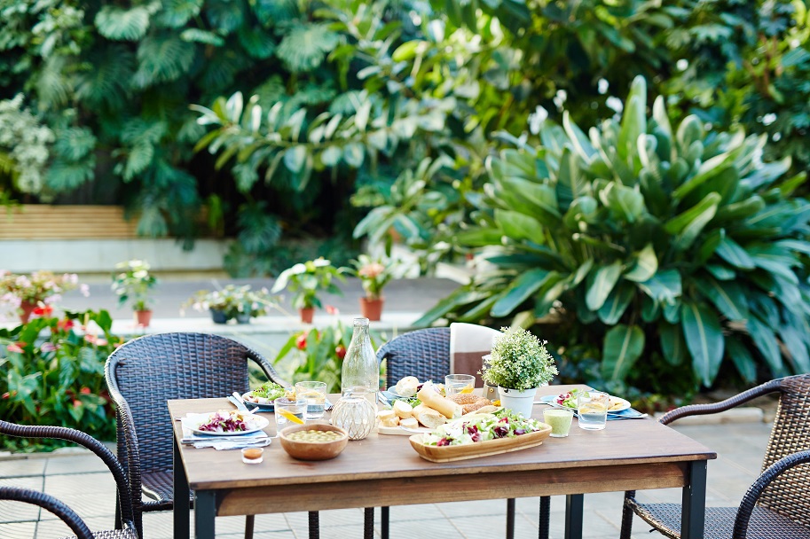 dining set with food in a garden full of plants