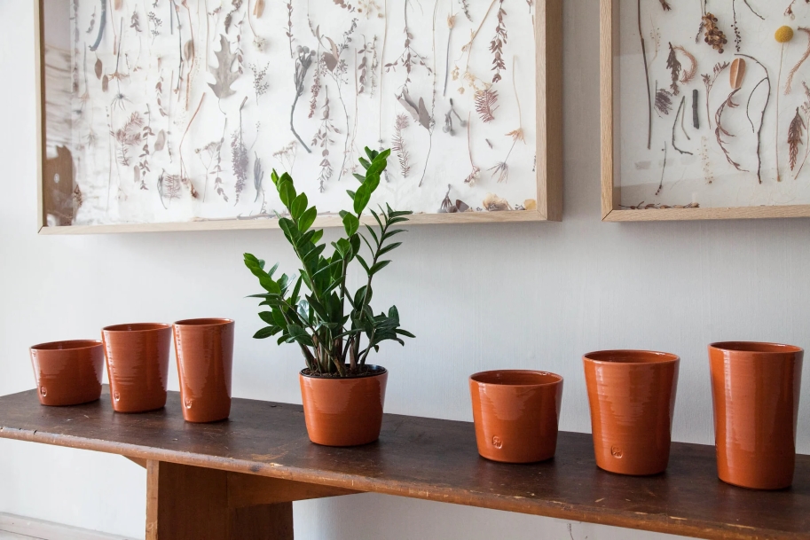 terracotta indoor pot